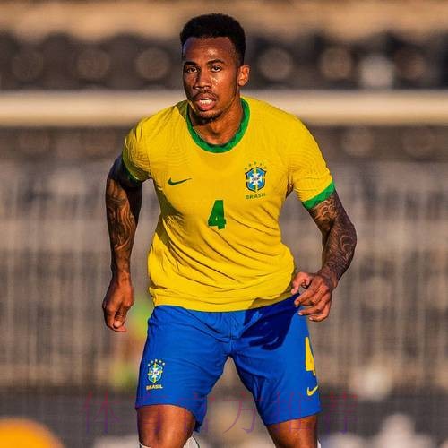 最新世界杯巴西哈兰德阵容解析权威解读